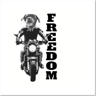 Freedom Dog on Motorcycle Posters and Art